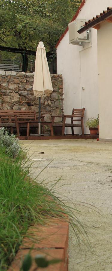 La casa di Julie Villa Ronchi Dei Legionari Esterno foto